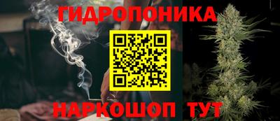 амф Новодвинск