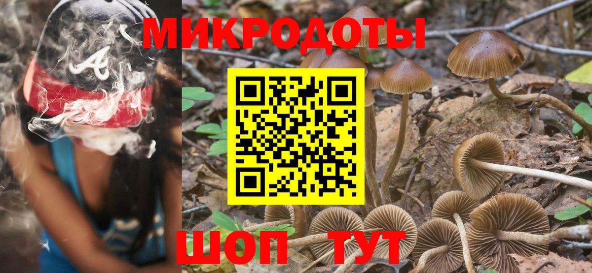 Псилоцибиновые грибы мицелий  Галлюциногенные грибы MAGIC MUSHROOMS  Ростов-на-Дону  Вход с VPN 
