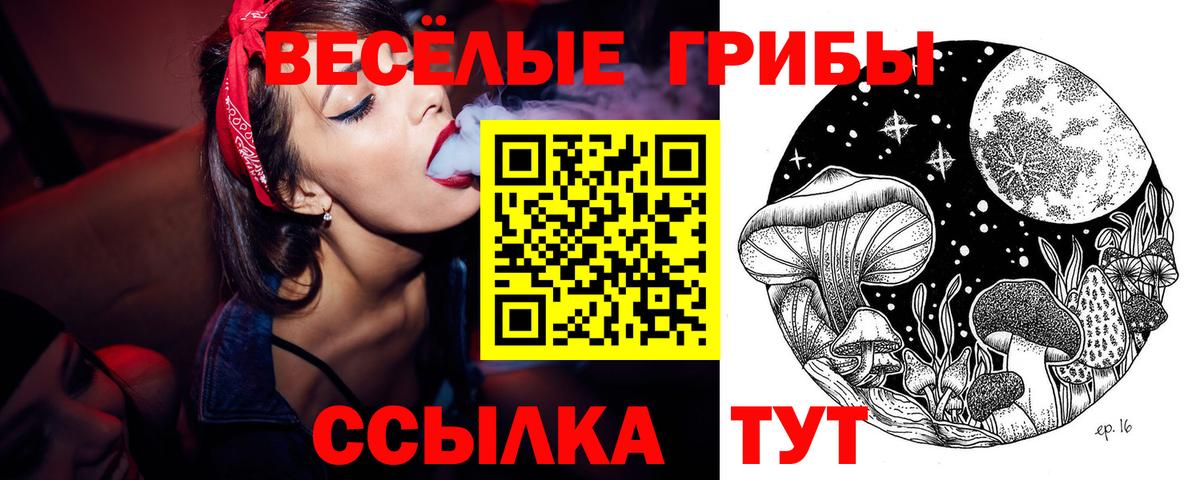 Псилоцибиновые грибы Magic Shrooms Ростов-на-Дону